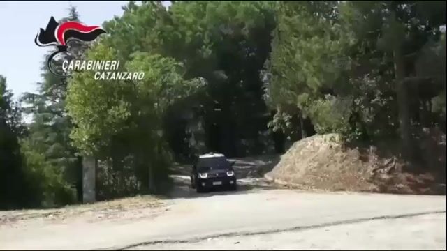 Contrasto agli incendi boschivi, un arresto dei carabinieri 