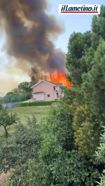 Lamezia, vasto incendio di vegetazione a Sant'Eufemia: fiamm