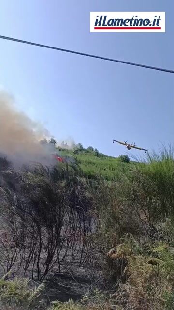 Lamezia, vasto incendio di vegetazione tra San Minà e Acquaf