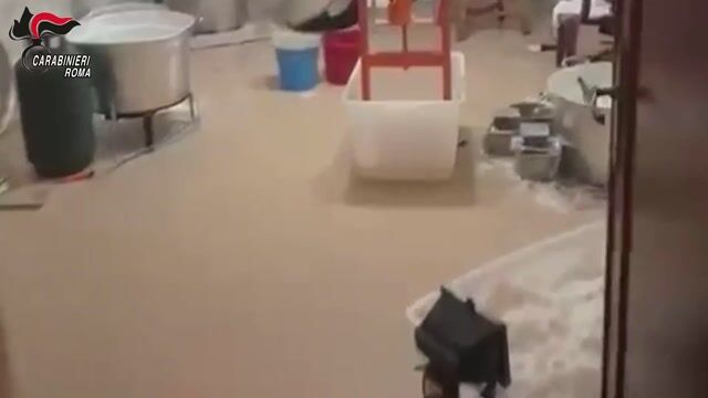 Narcotraffico, 4 fermi: scoperta 'raffineria' in Calabria