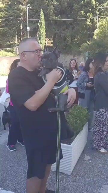 Lamezia, benedizione degli amici a quattro zampe nel segno d