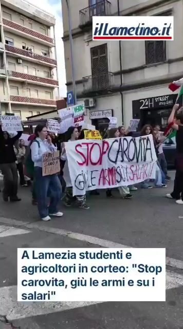 A Lamezia studenti e agricoltori in corteo: "Stop carovita, 