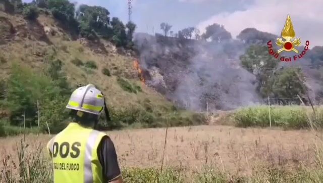 ​Incendio boschivo a Pianopoli, domato dalle squadre di terr